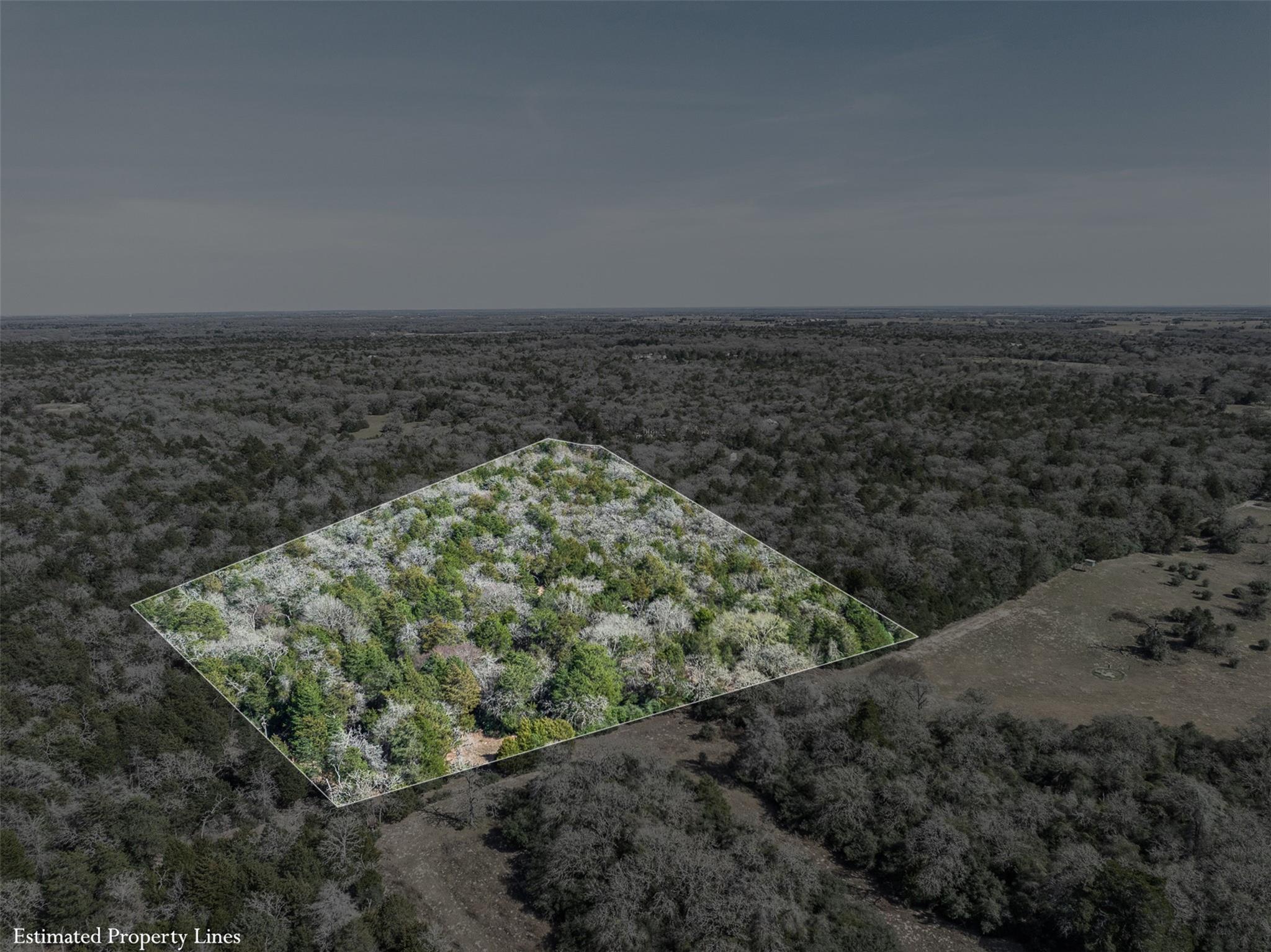 Lot 2 (4.81 Acres) Pauline LN