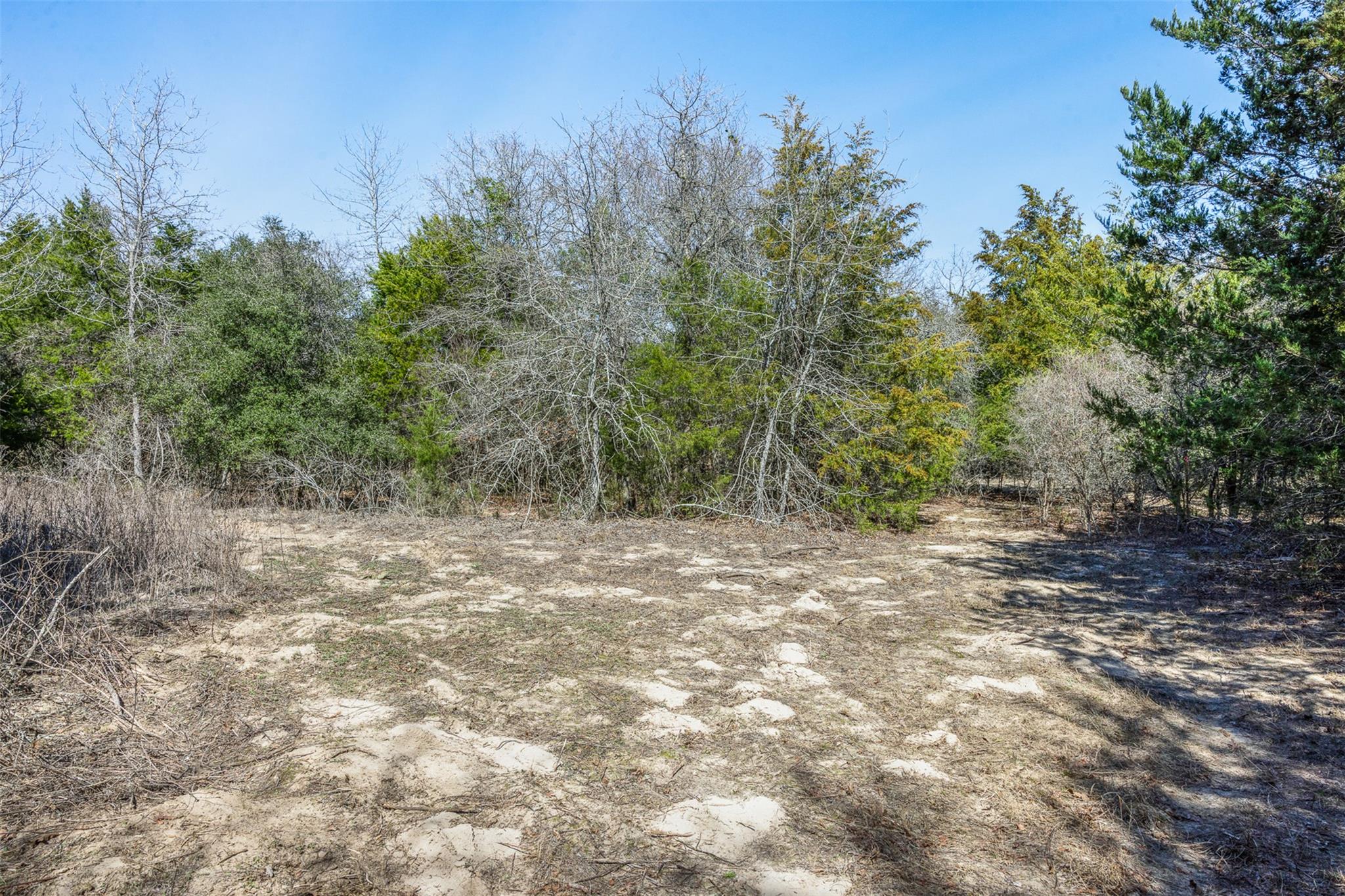 Lot 2 (4.81 Acres) Pauline LN