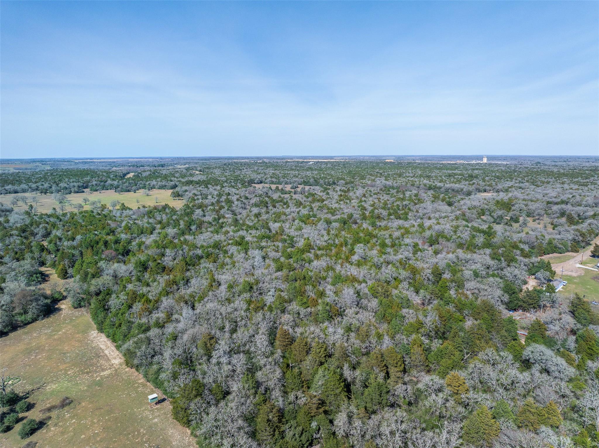 Lot 2 (4.81 Acres) Pauline LN