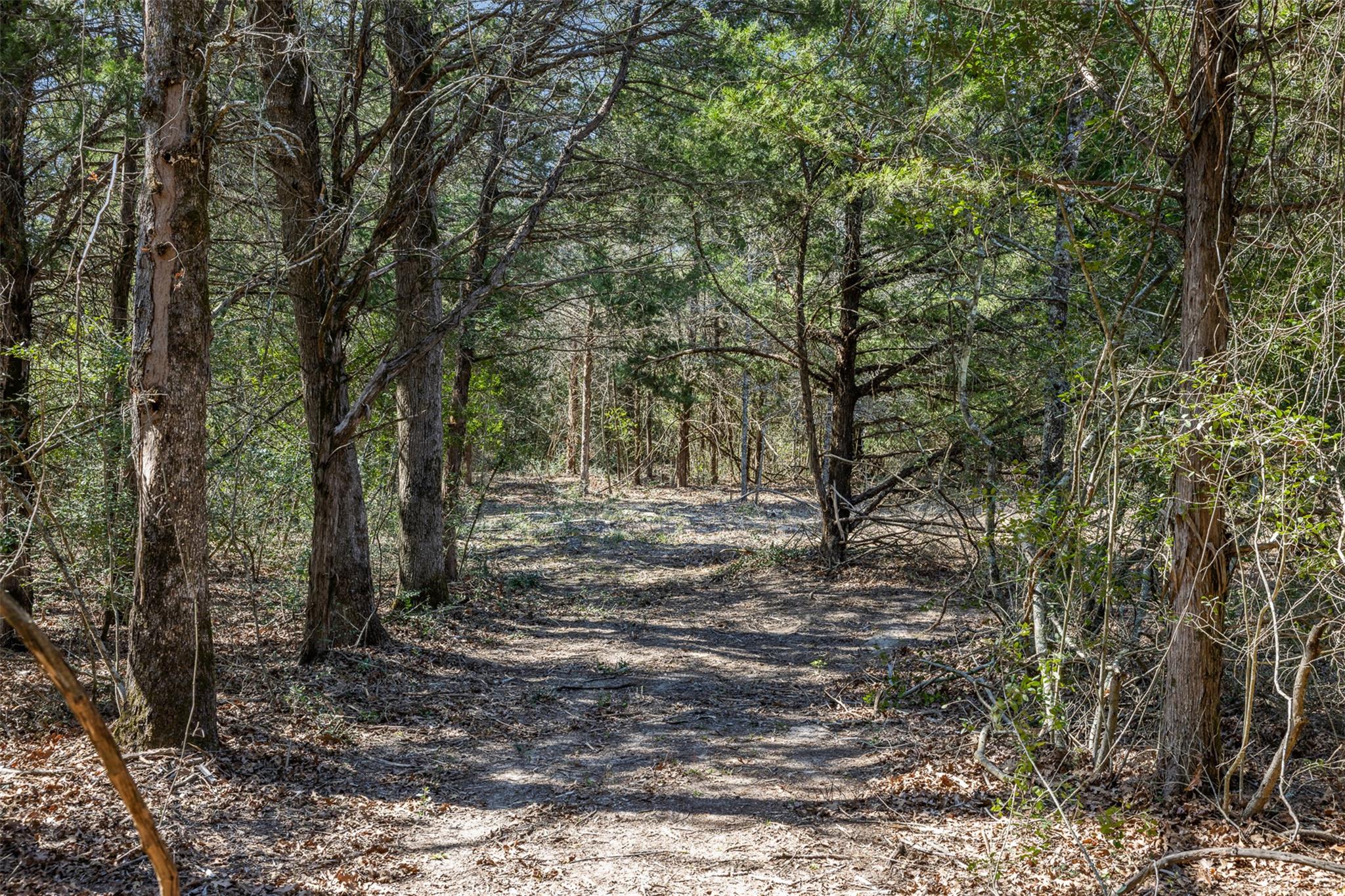 Lot 2 (4.81 Acres) Pauline LN