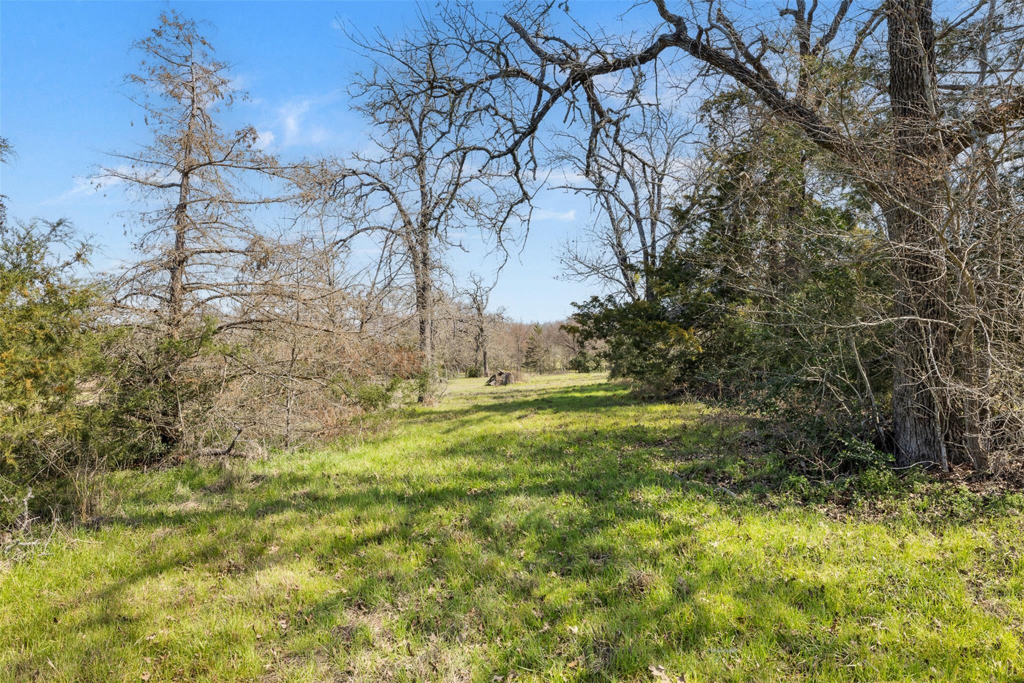 1949 County Road 347 LOOP