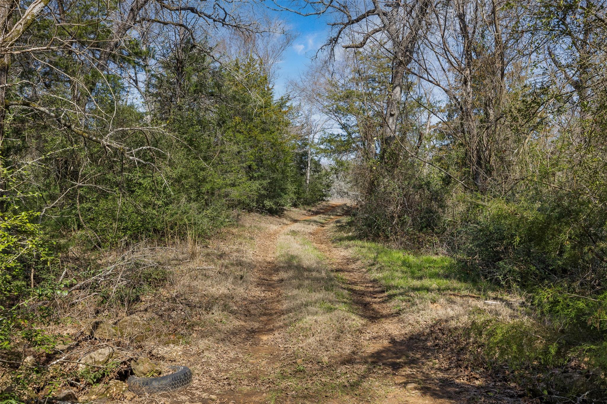 1949 County Road 347 LOOP