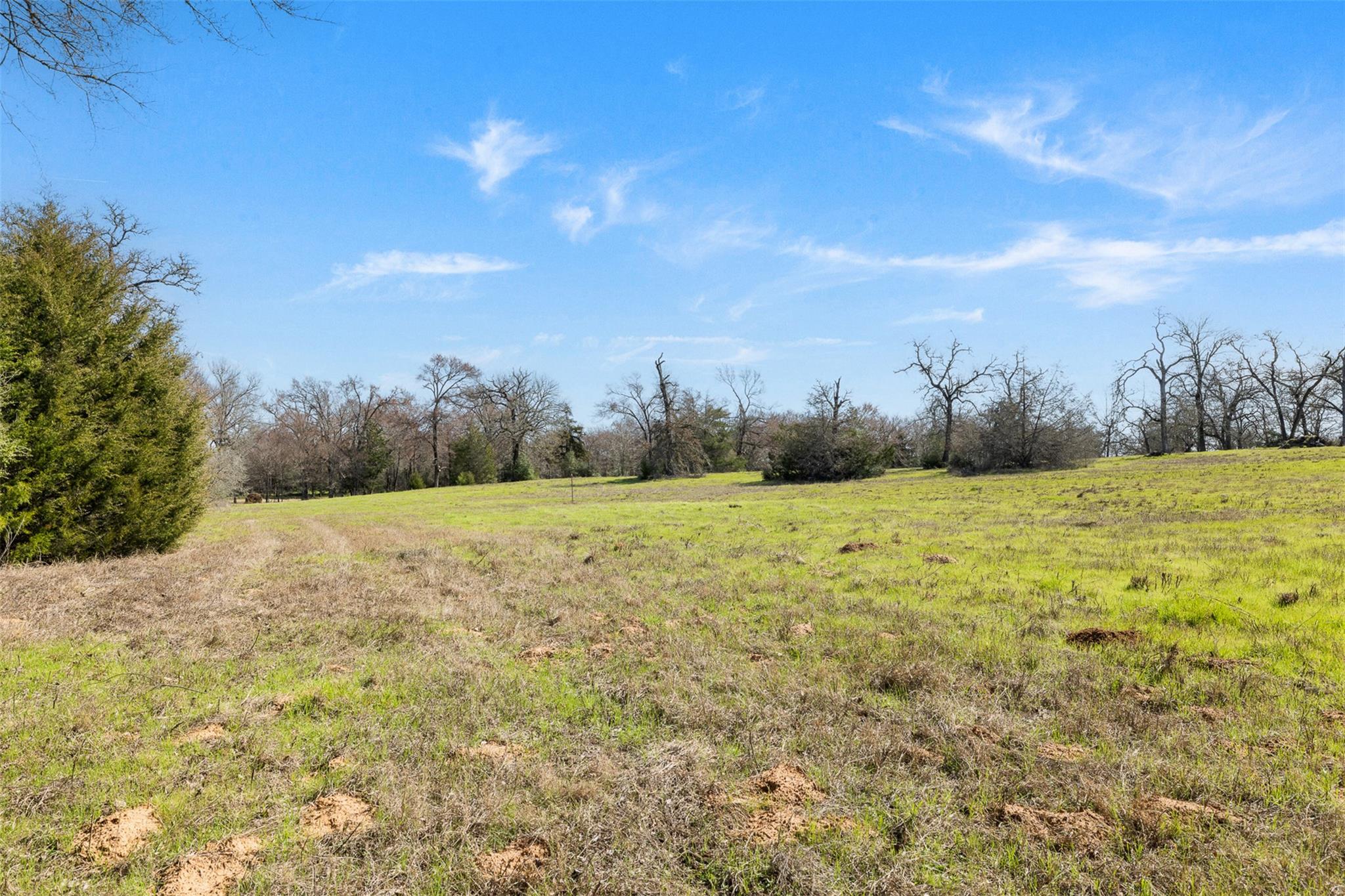 1949 County Road 347 LOOP