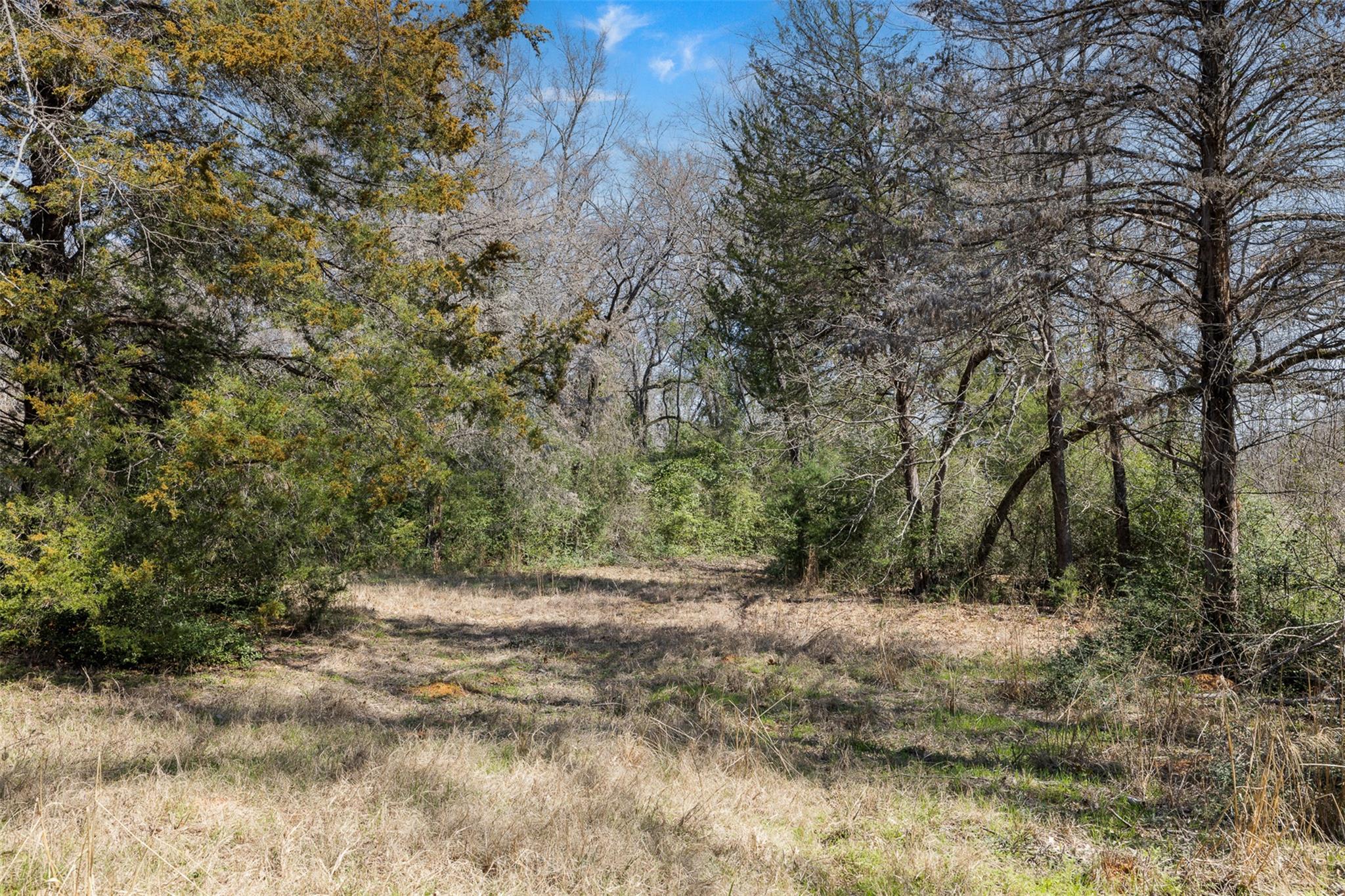 1949 County Road 347 LOOP