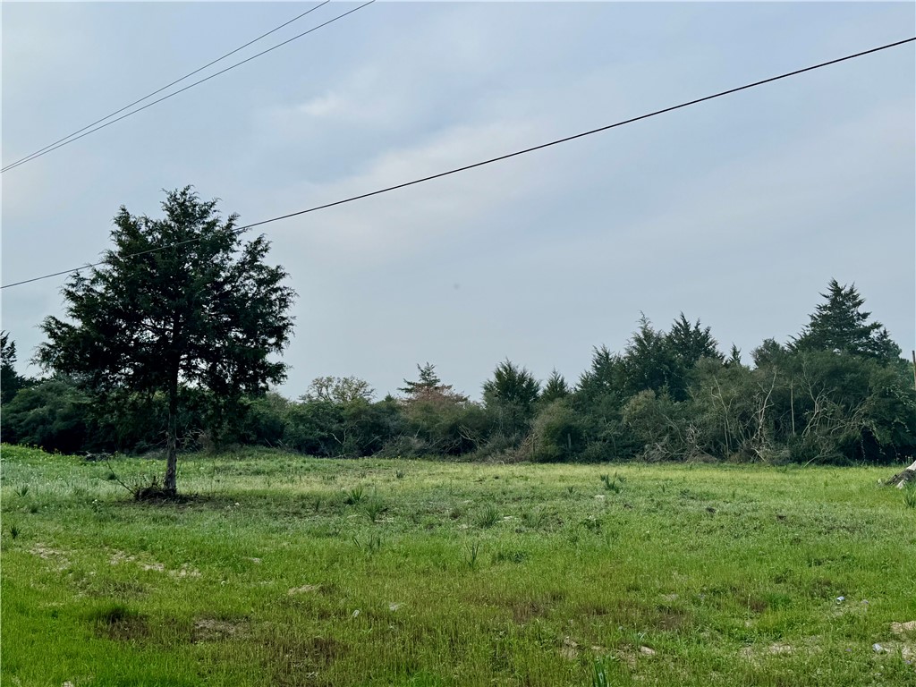 Lots 1 & 3 Fir Drive