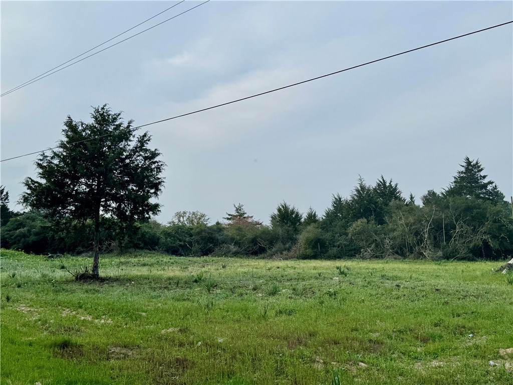 Lots 1 & 3 Fir Drive