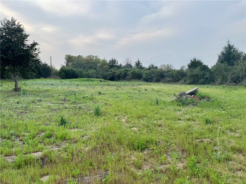 Lots 1 & 3 Fir Drive