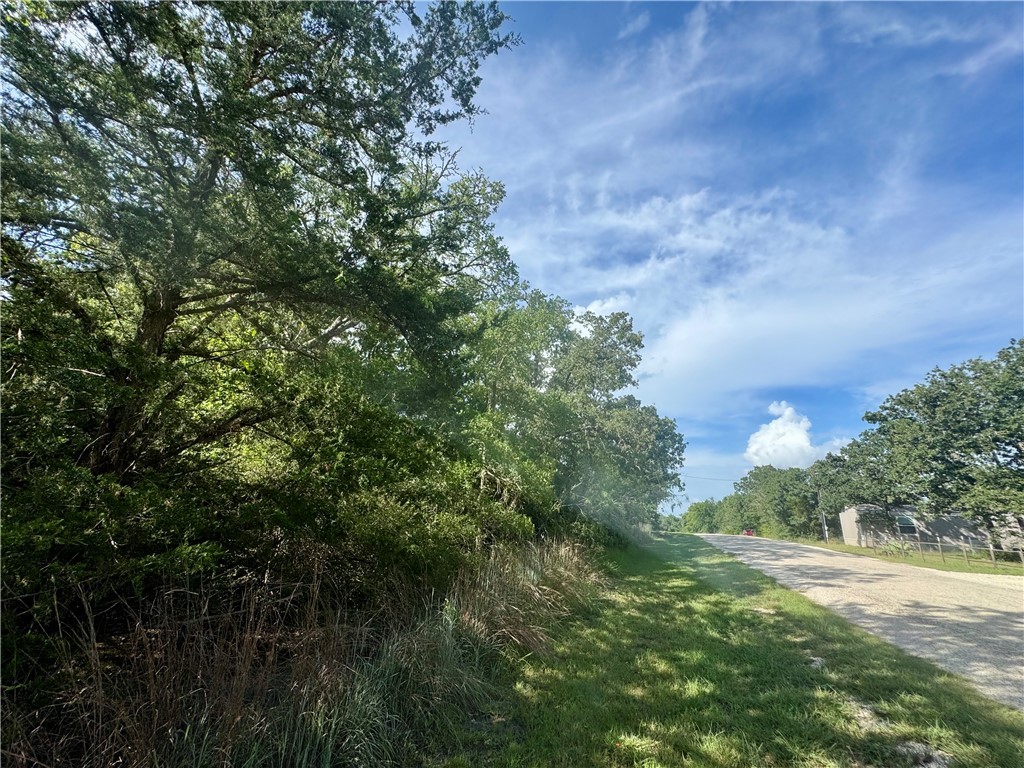 Lots 569-573 Pond Street