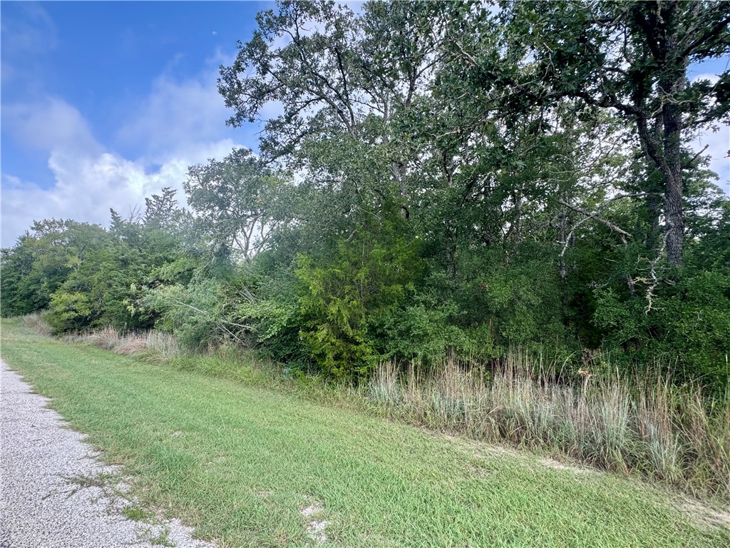 Lots 569-573 Pond Street