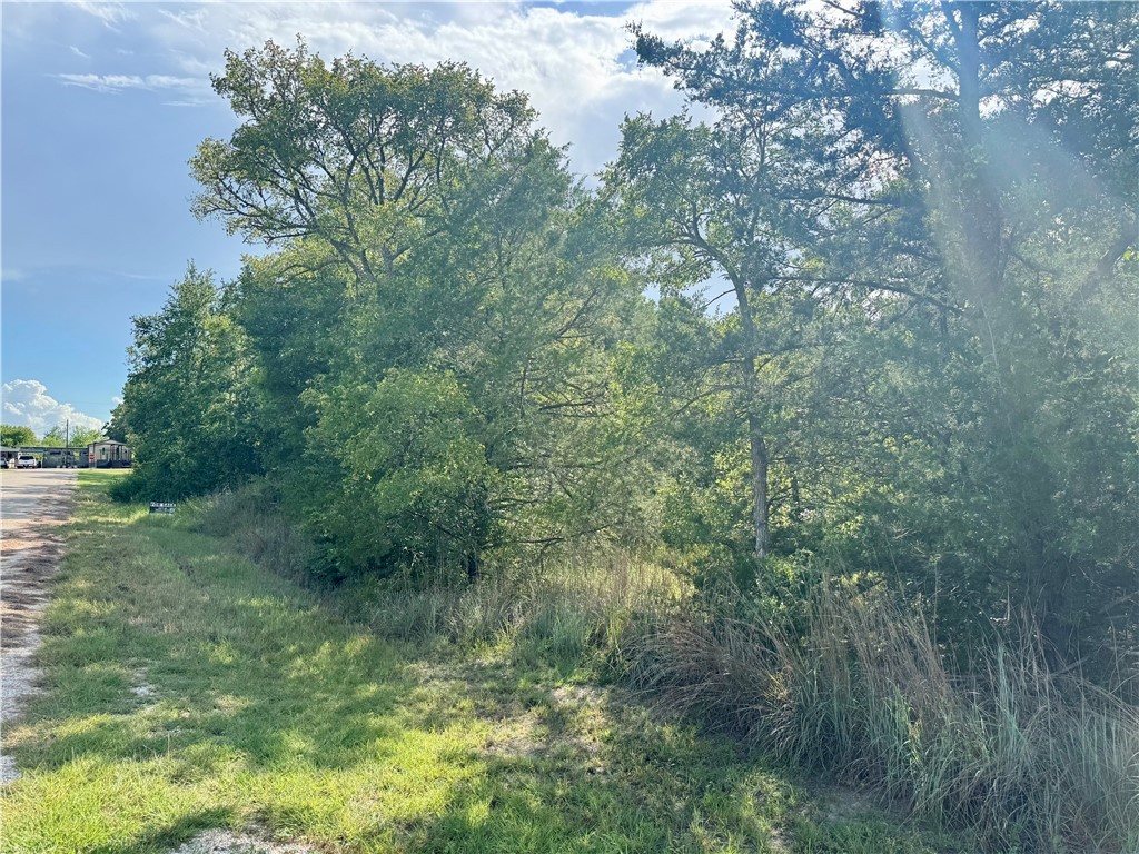 Lots 569-573 Pond Street