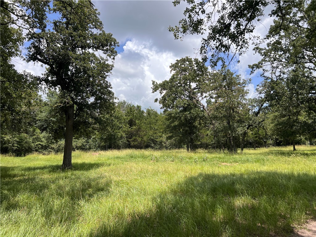 2.938 AC County Road 342