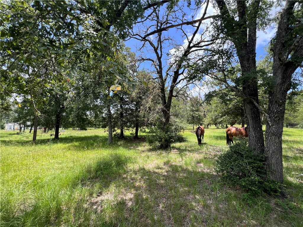 2.938 AC County Road 342