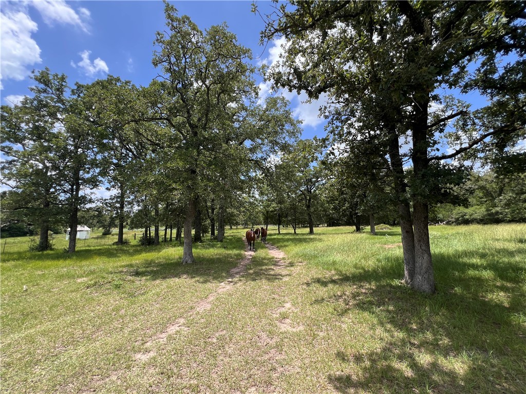 2.938 AC County Road 342
