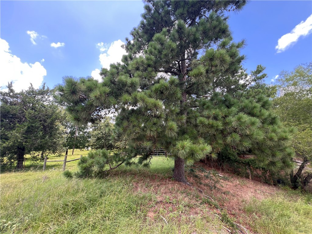 2.938 AC County Road 342