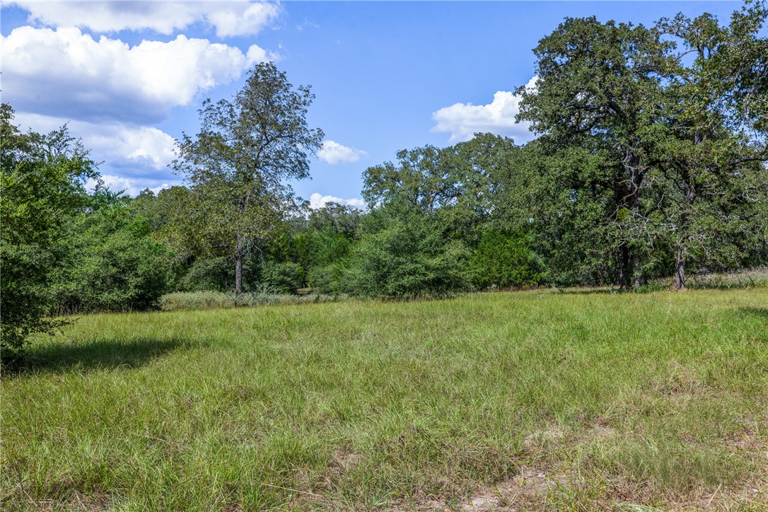 2.715 AC (Lot 6) Pauline Lane