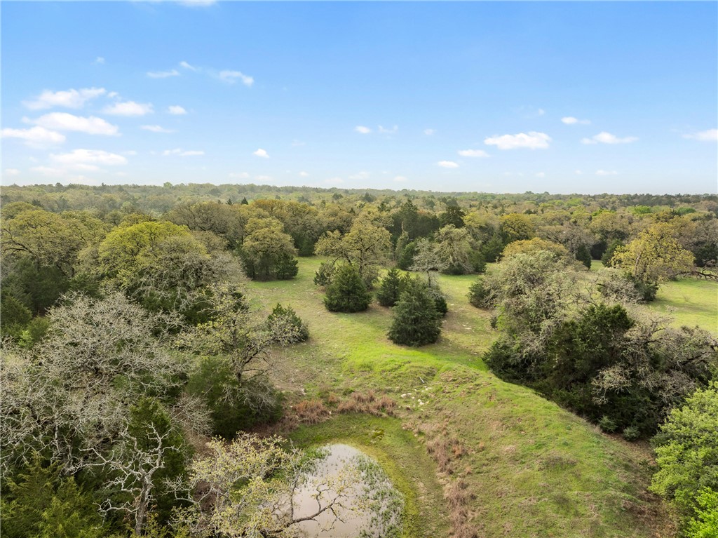 2.715 AC (Lot 6) Pauline Lane