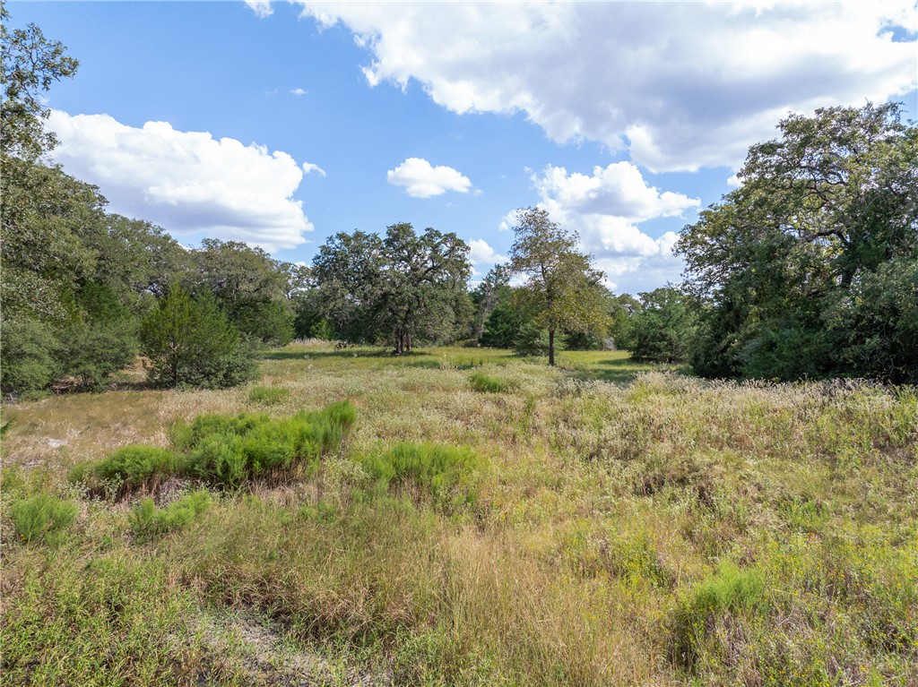 2.715 AC (Lot 6) Pauline Lane