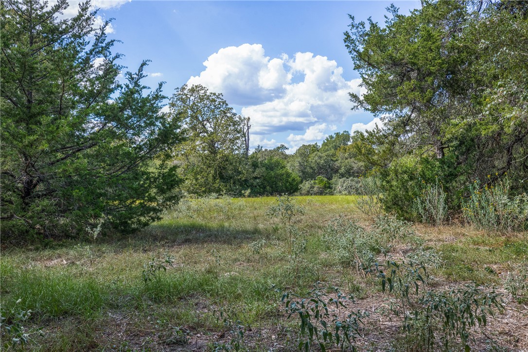 2.715 AC (Lot 6) Pauline Lane