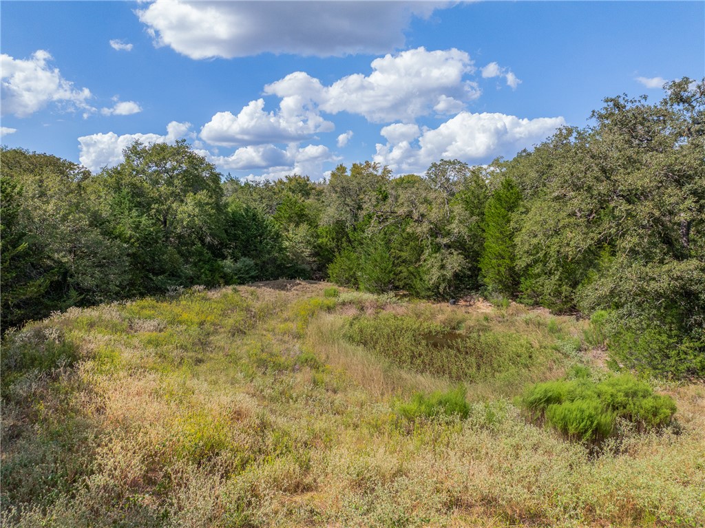 2.715 AC (Lot 6) Pauline Lane