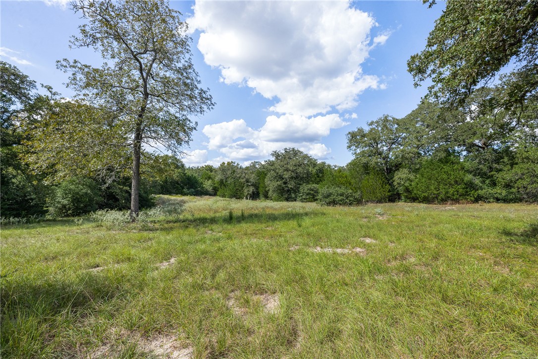 2.715 AC (Lot 6) Pauline Lane