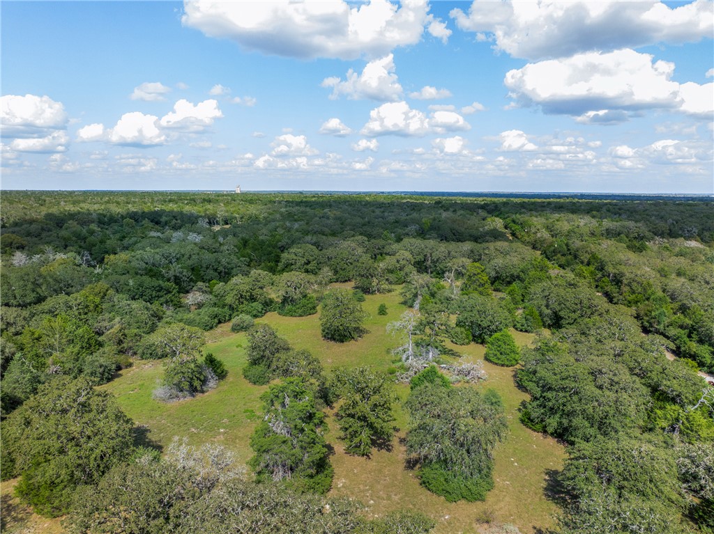 2.715 AC (Lot 6) Pauline Lane