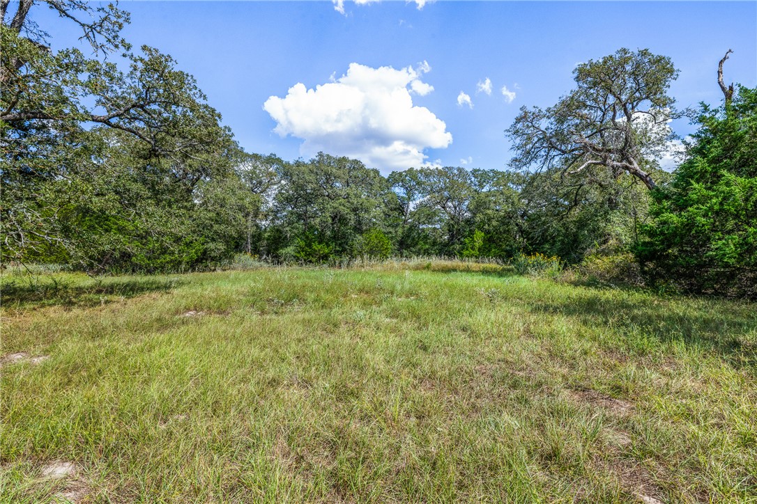2.715 AC (Lot 6) Pauline Lane