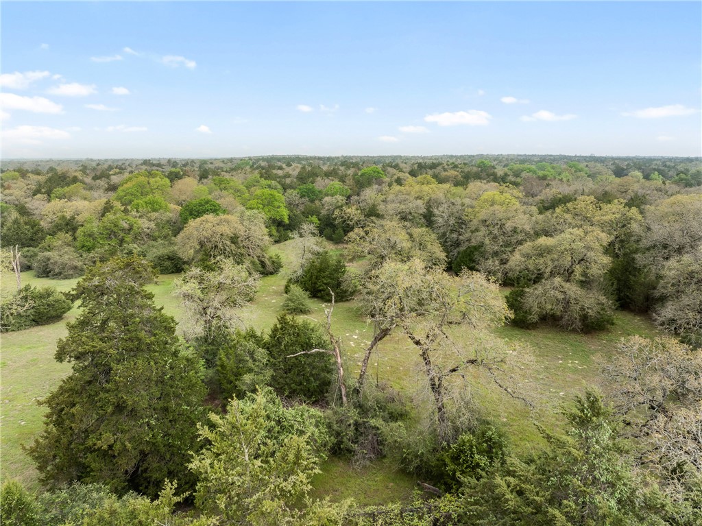 2.715 AC (Lot 6) Pauline Lane