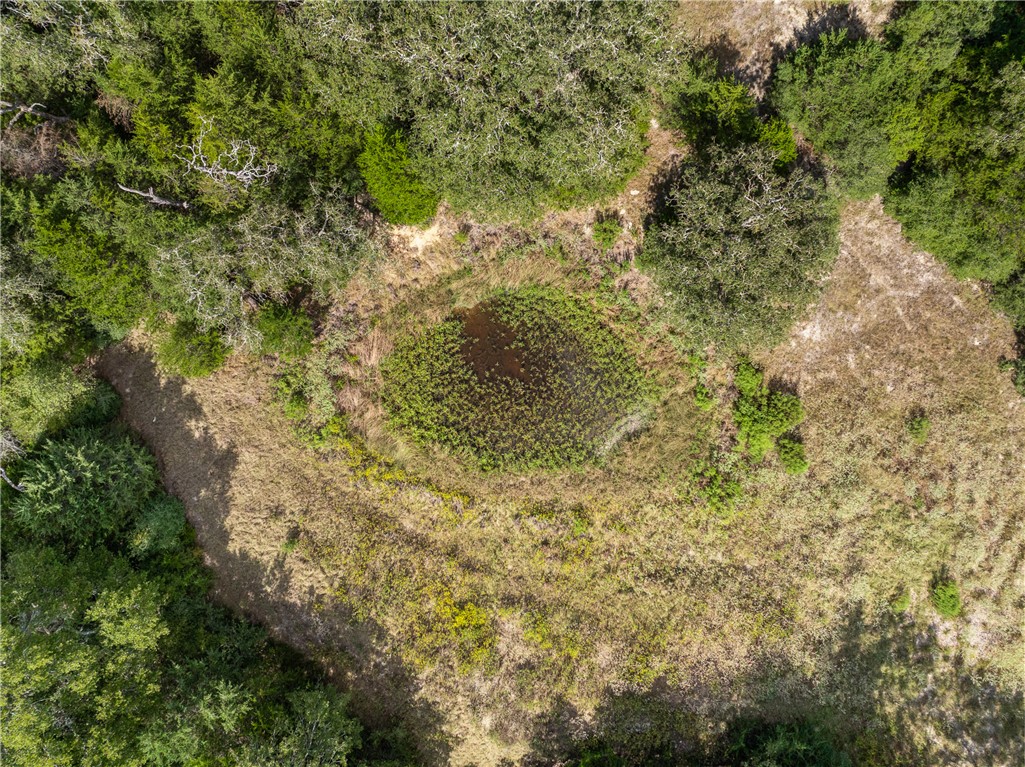 2.715 AC (Lot 6) Pauline Lane