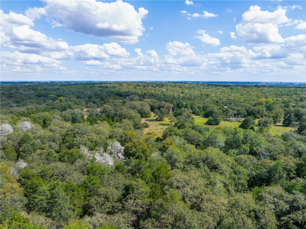 2.715 AC (Lot 6) Pauline Lane