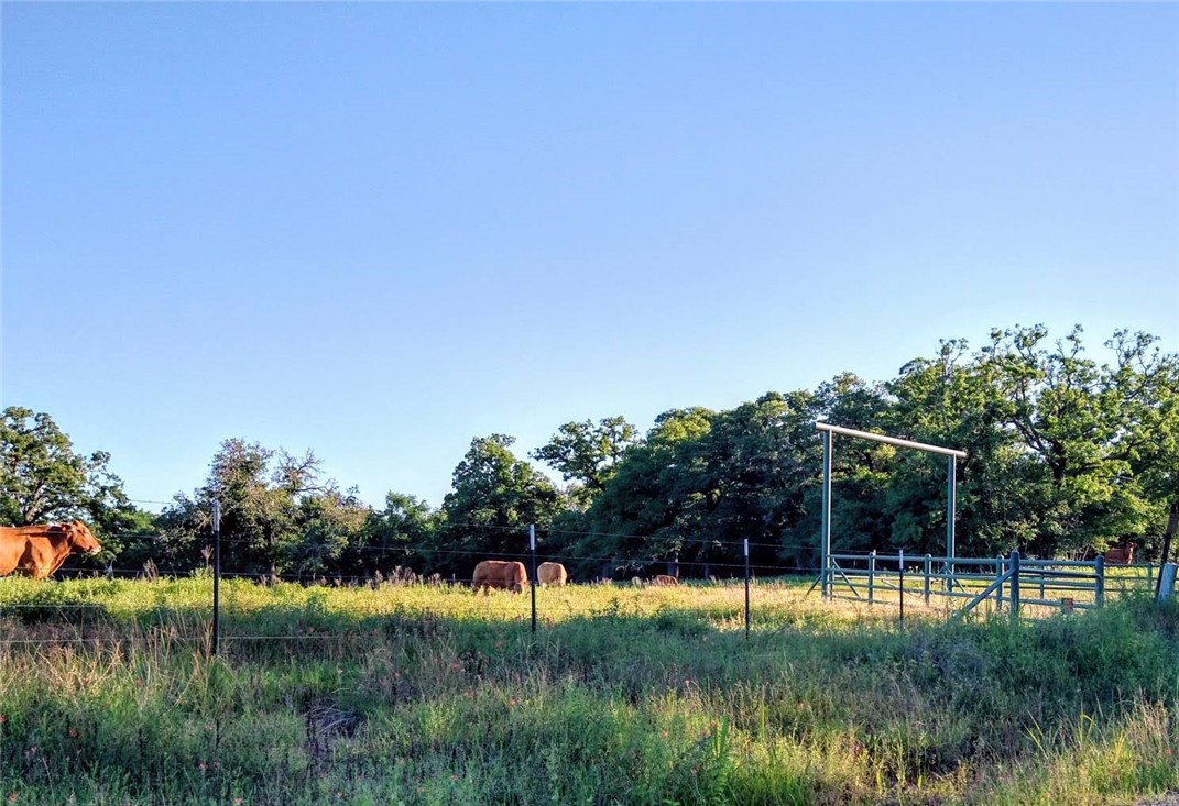 5997 County Road 308