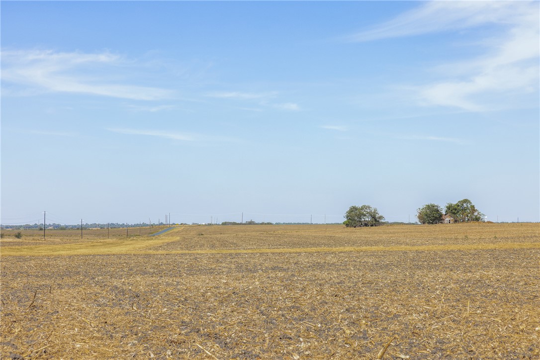 52.27 Acres County Road 301