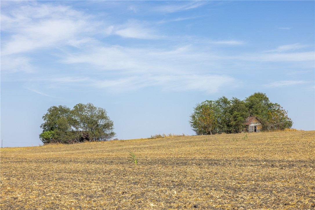 52.27 Acres County Road 301