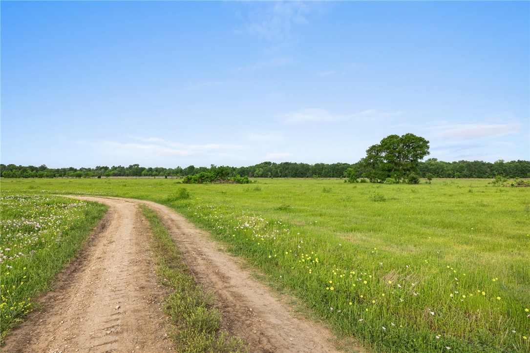 10825 West State Highway 21