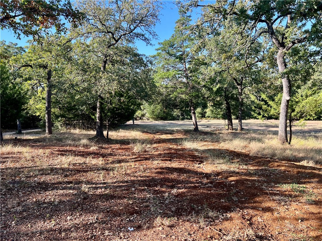 8205 Jackrabbit Lane