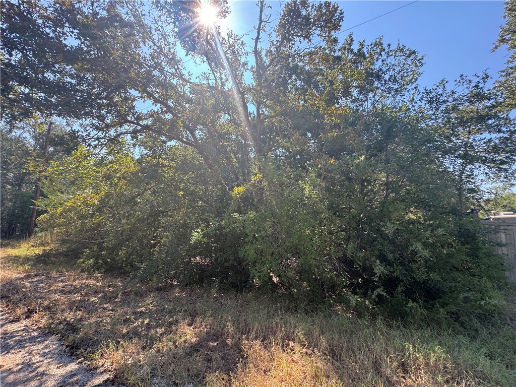 .58 ACRES Berry South Berry