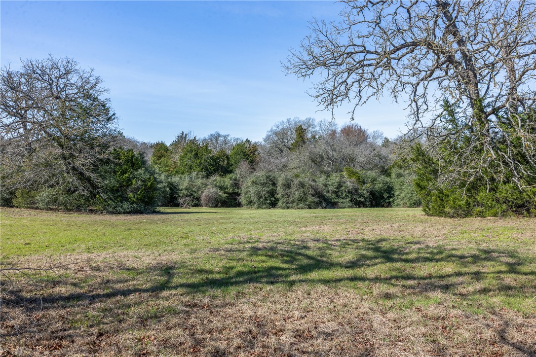 Lot 5 (2.74 Acres) Pauline Lane