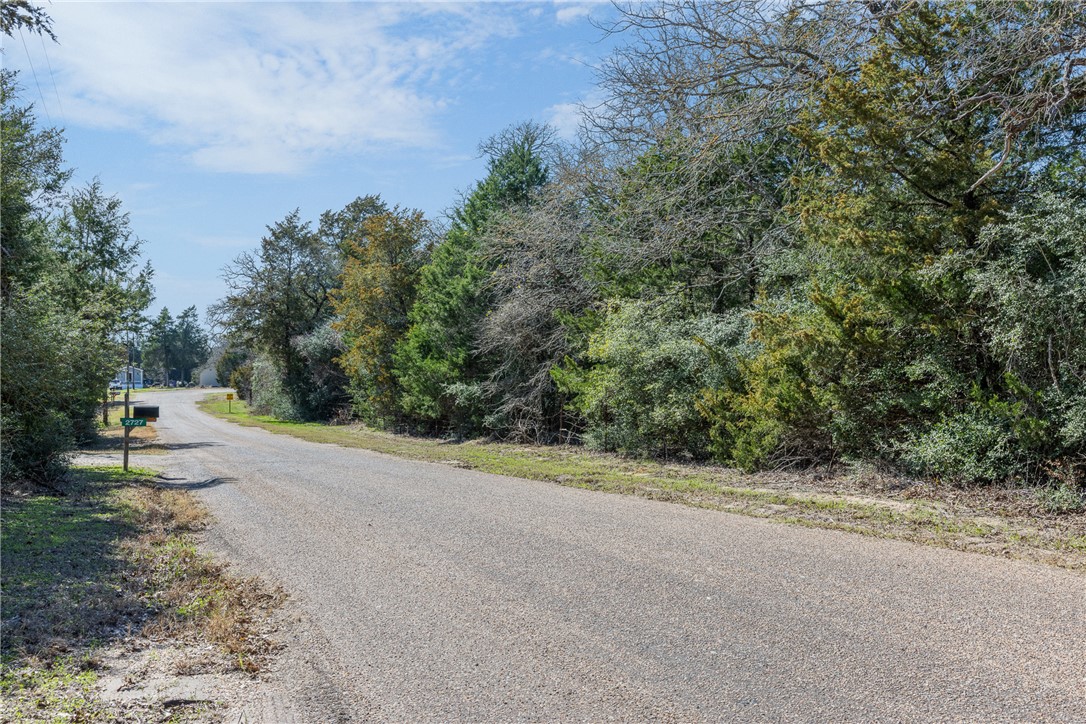 Lot 5 (2.74 Acres) Pauline Lane