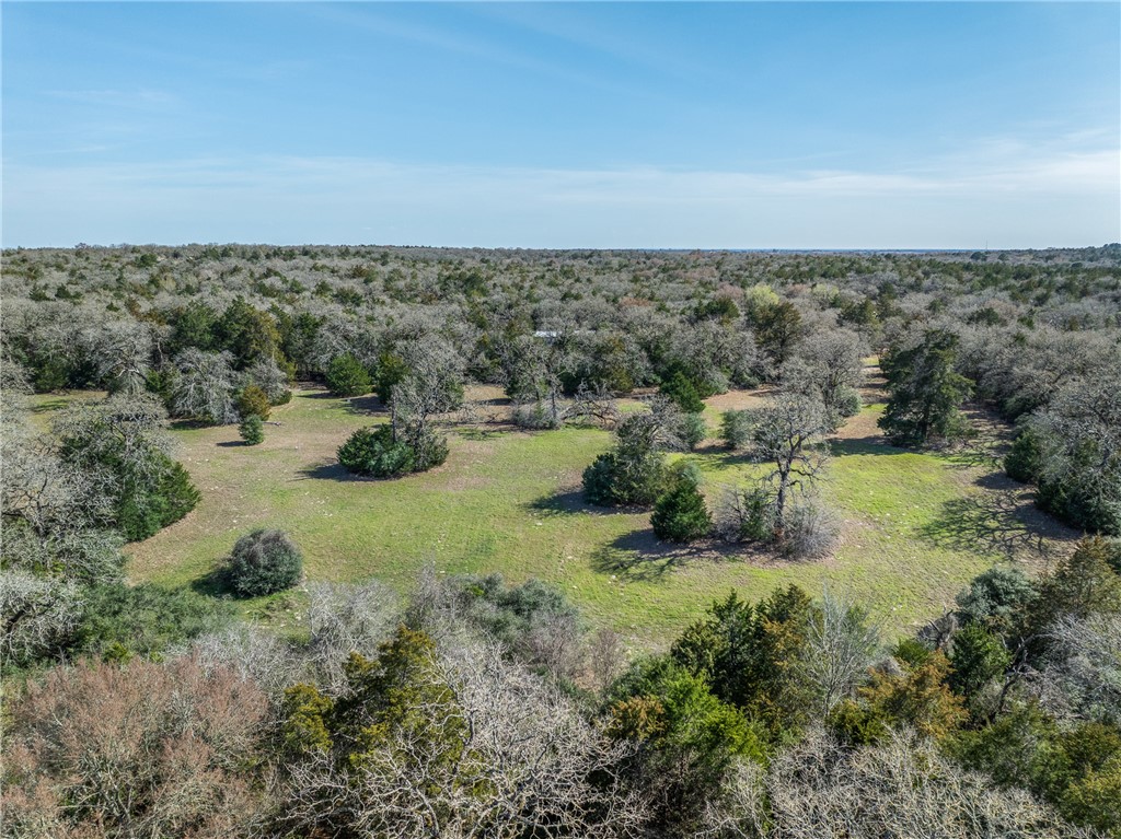 Lot 5 (2.74 Acres) Pauline Lane
