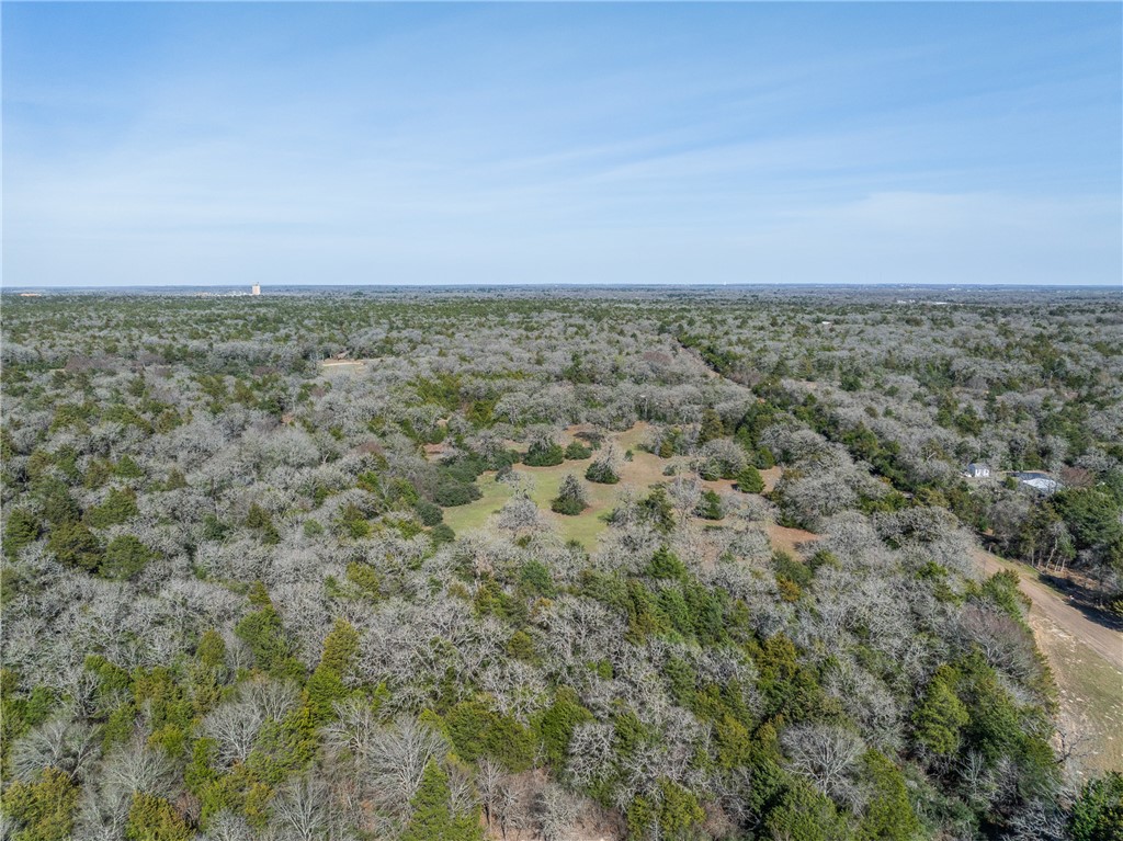 Lot 5 (2.74 Acres) Pauline Lane