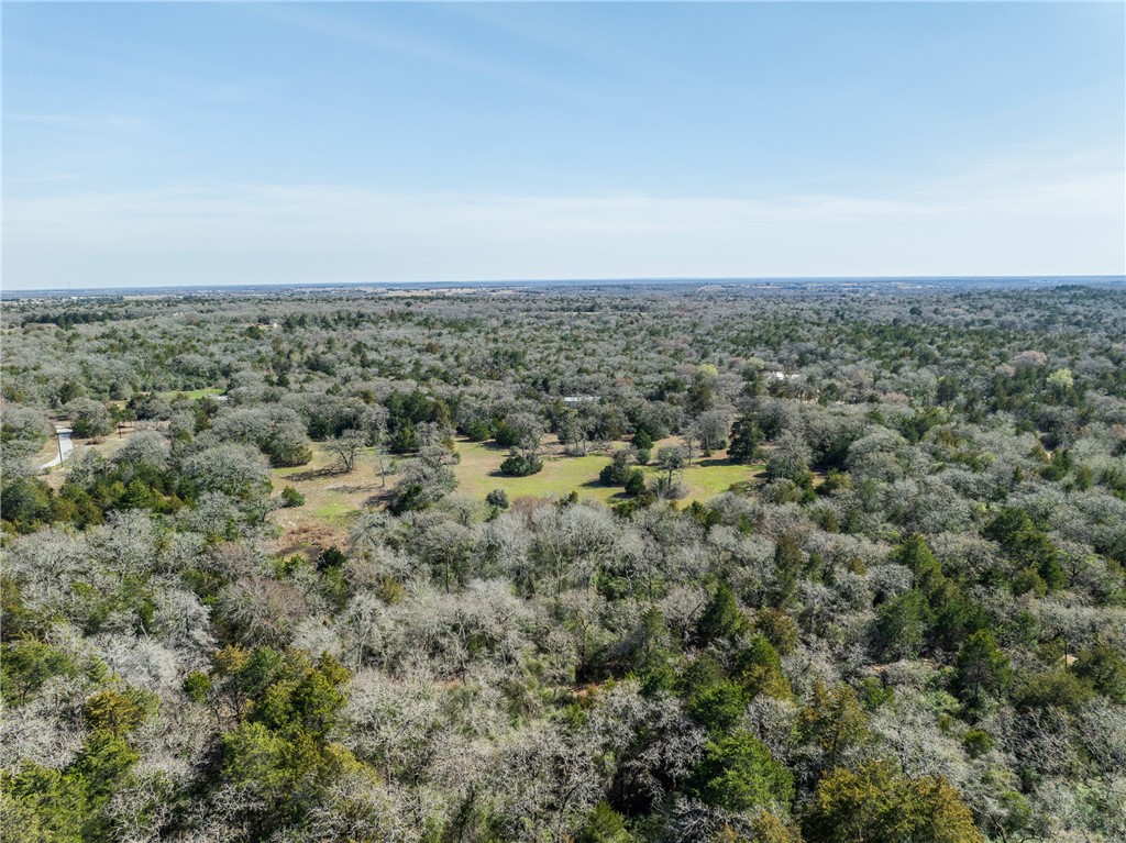 Lot 5 (2.74 Acres) Pauline Lane