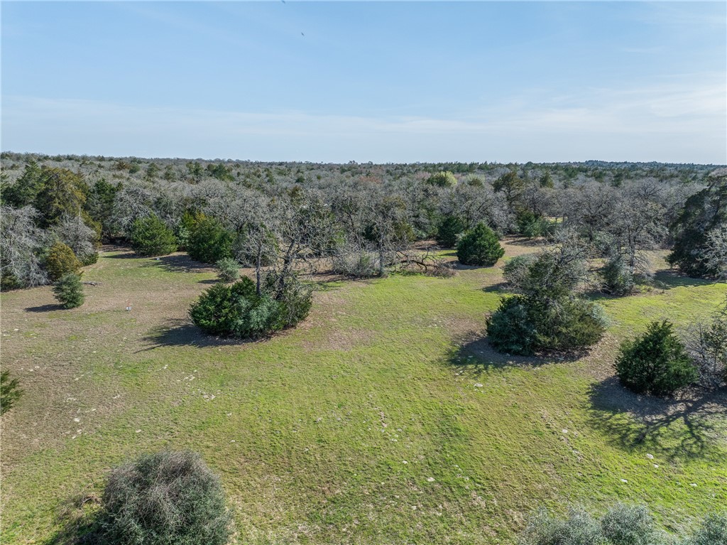 Lot 5 (2.74 Acres) Pauline Lane