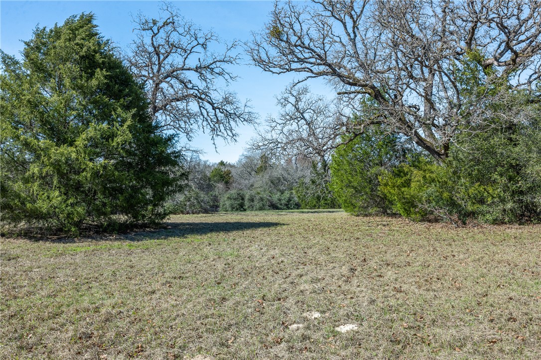 Lot 5 (2.74 Acres) Pauline Lane