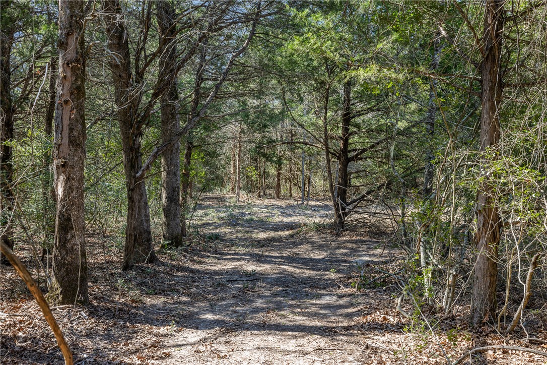 Lot 2 (4.81 Acres) Pauline Lane