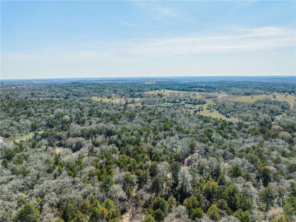 Lot 2 (4.81 Acres) Pauline Lane