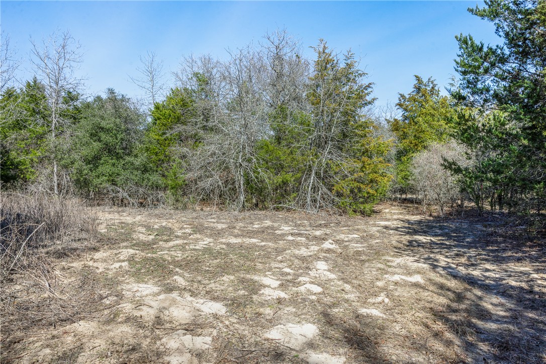 Lot 2 (4.81 Acres) Pauline Lane