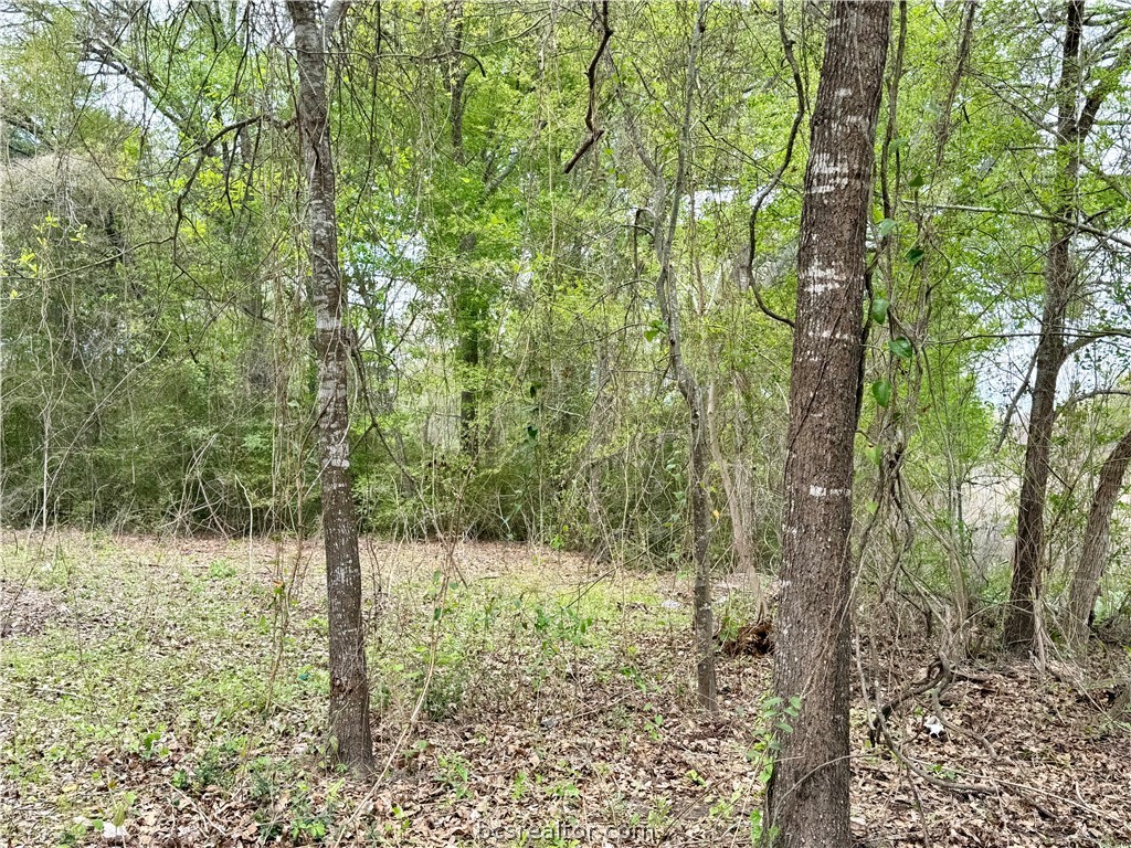 1280 Lakeview Drive