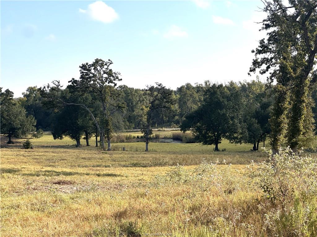 5997 County Road 308