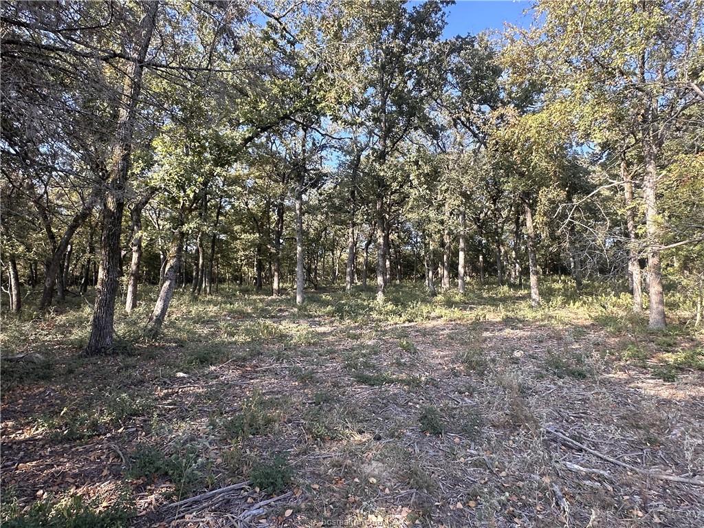 5997 County Road 308