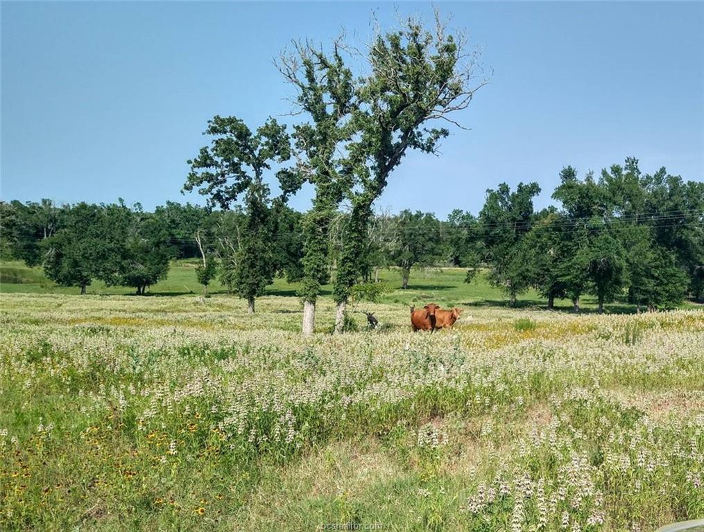 5997 County Road 308