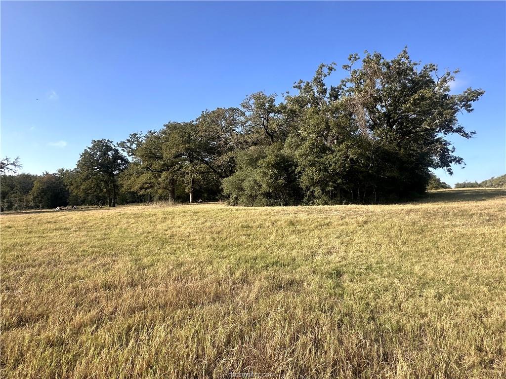 5997 County Road 308